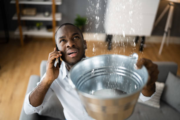 Best Carpet water damage restoration  in Clintondale, NY