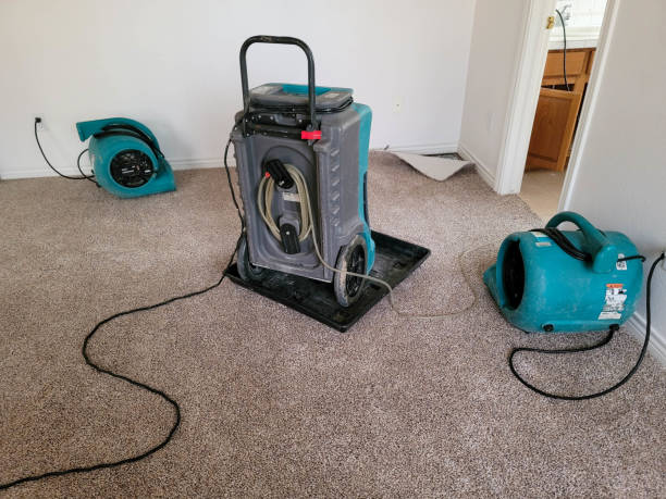 Best Water damage restoration near me  in Clintondale, NY