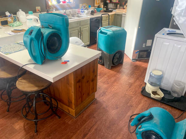 Best Water damage cleanup near me  in Clintondale, NY
