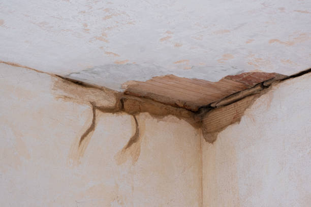 Best Commercial water damage restoration  in Clintondale, NY