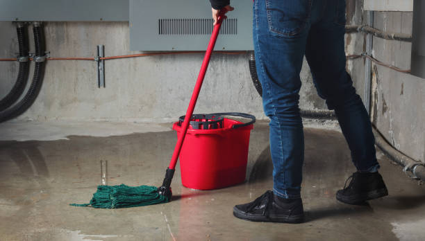 Best Emergency water damage restoration  in Clintondale, NY