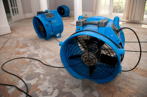 Best Water damage restoration near me  in Clintondale, NY