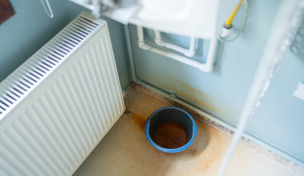Best Flood damage cleanup  in Clintondale, NY