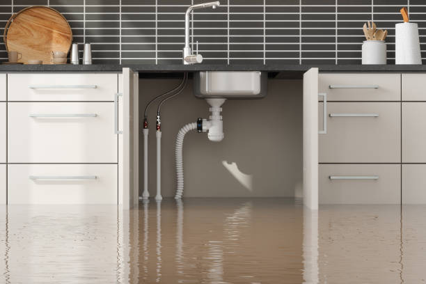 Best Flood restoration services  in Clintondale, NY