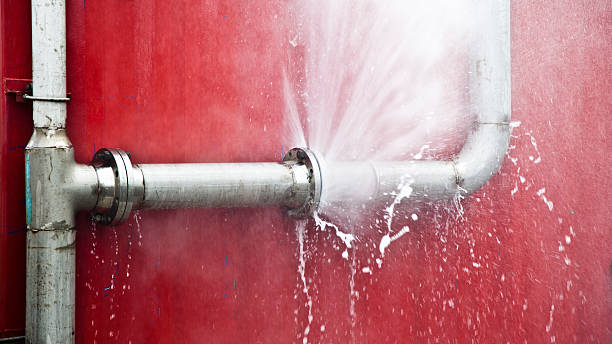 Best Water damage cleanup near me  in Clintondale, NY